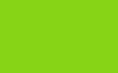 Pastel Gloss Self Adhesive Vinyl - Lime Green